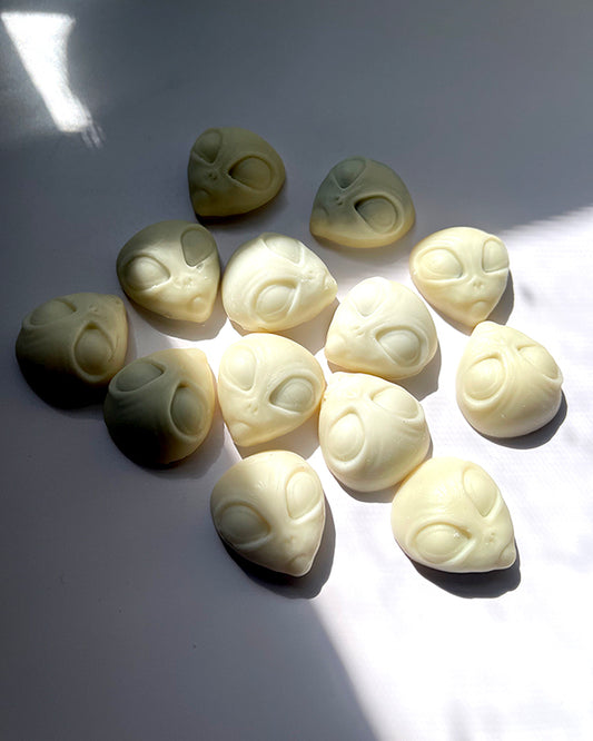 The Colonists Wax Melts