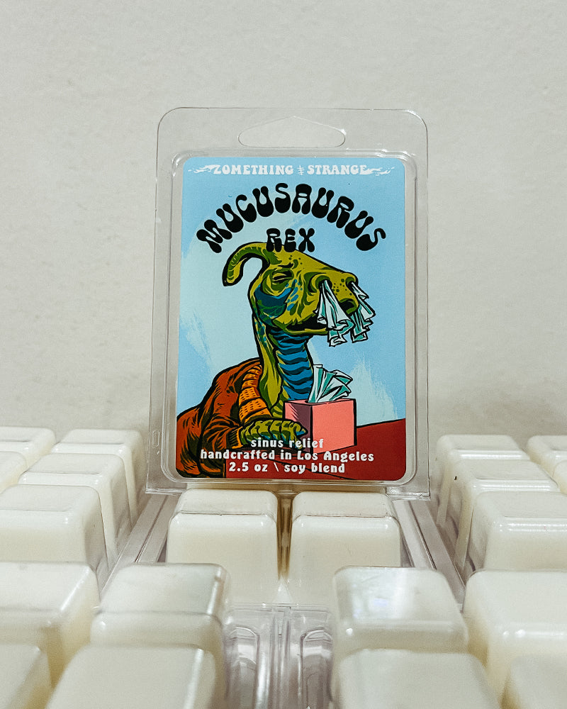 Dino Inspired Clamshell Wax Melts