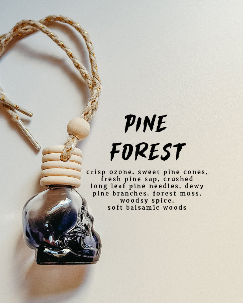 Unique Fall Scented Black Skulls Car Diffuser