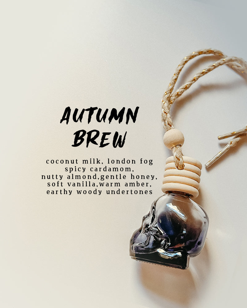 Unique Fall Scented Black Skulls Car Diffuser