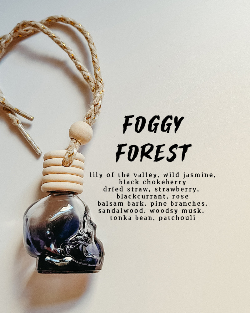 Unique Fall Scented Black Skulls Car Diffuser
