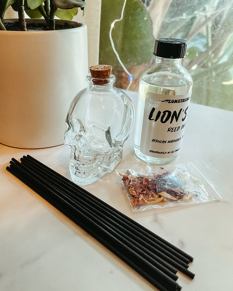 Skeleton Diffuser Small Skull Reed Diffuser – ZomethingStrange