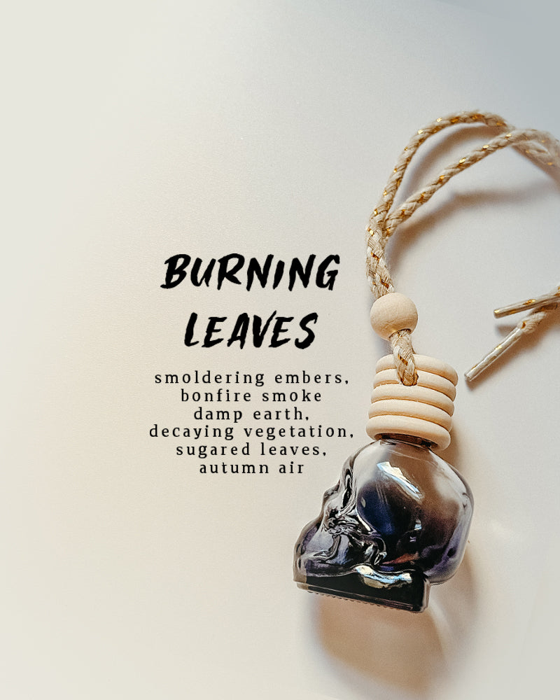 Unique Fall Scented Black Skulls Car Diffuser