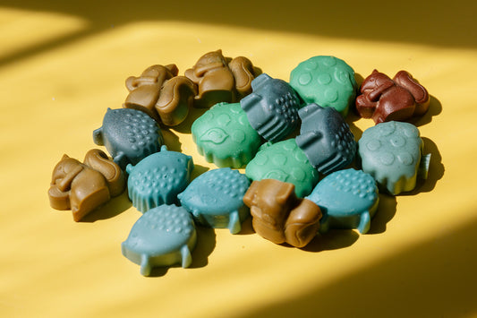 Little Critters Wax Melts