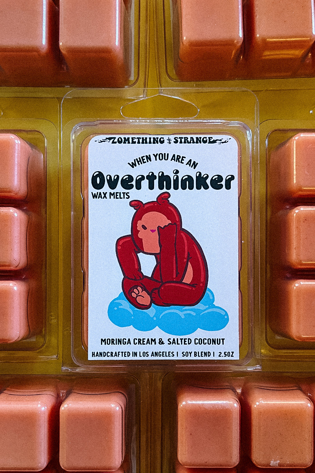 Overthinker Clamshell